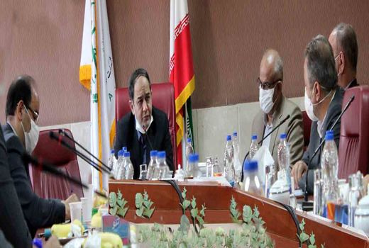 تکمیل ذخایر راهبردی کشور از ماموریت های مهم شرکت پشتیبانی امور دام