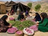 ساماندهی ۴۵۰۰ صندوق اعتبارات خرد، نقطه آغاز توانمندسازی زنان روستایی