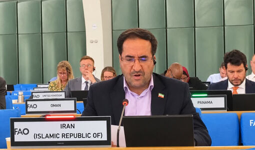 تأکید ایران بر تقویت تاب‌آوری جنگل‌های مناطق خشک