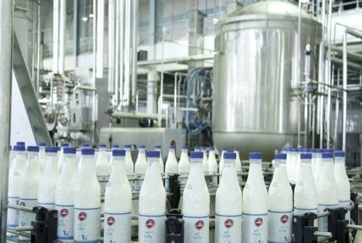 جهش تولید شیر با اجرای برنامه های اصلاح نژادی در خراسان شمالی