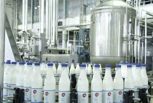 جهش تولید شیر با اجرای برنامه های اصلاح نژادی در خراسان شمالی