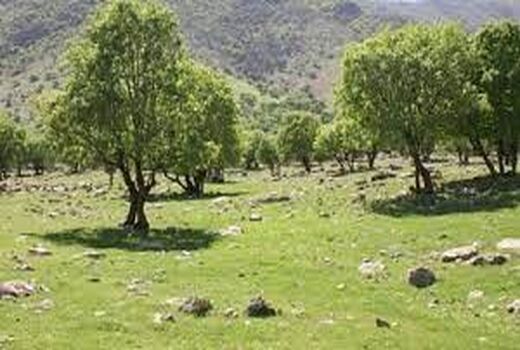 حفاظت همیاران طبیعت از عرصه‌های منابع طبیعی خرمشهر
