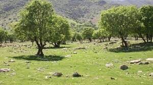 حفاظت همیاران طبیعت از عرصه‌های منابع طبیعی خرمشهر