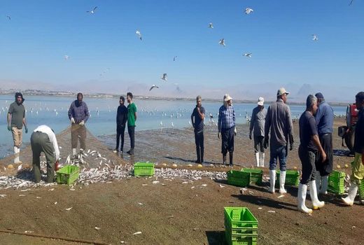 اشتغال بیش از هزار صیاد در منابع آب‌های داخلی آذربایجان غربی