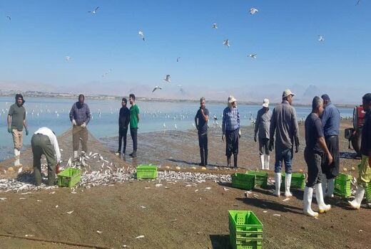 اشتغال بیش از هزار صیاد در منابع آب‌های داخلی آذربایجان غربی