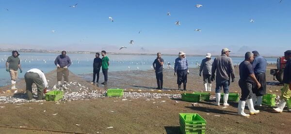 اشتغال بیش از هزار صیاد در منابع آب‌های داخلی آذربایجان غربی