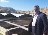 وزیر جهاد کشاورزی از طرح پرورش ماهی در شهرستان دنا بازدید کرد