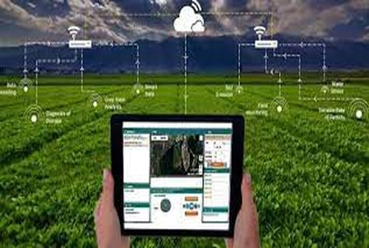 اجرایی شدن برنامه پایش هوشمند اراضی کشاورزی در ۱۵ استان