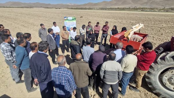برگزاری نهمین کاروان ترویج بهرهوری الگوی کشت ملی در پهنههای تولیدی فارس