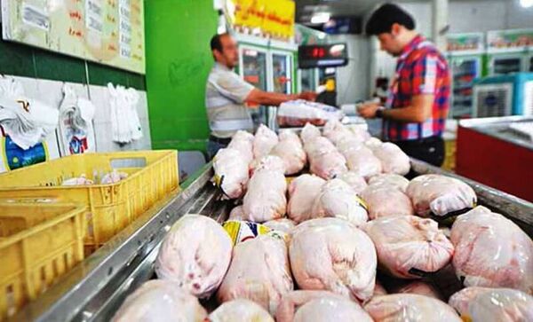 قیمت مرغ در استان بوشهر ۲۴ هزار تومان تصویب شد