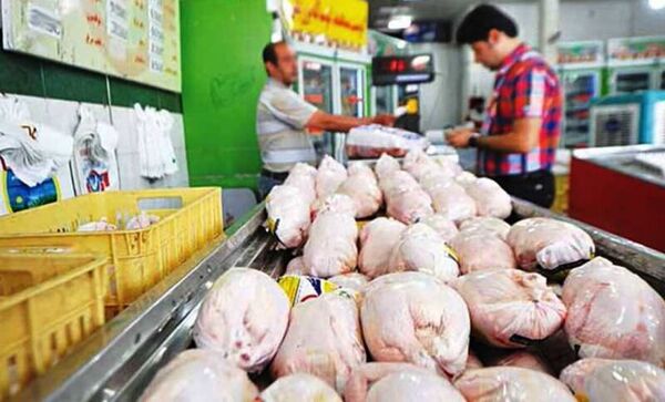 قیمت مرغ در استان بوشهر ۲۴ هزار تومان تصویب شد