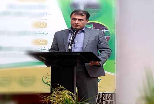 کشت بادام زمینی در ۳۰۰۰ هکتار از اراضی زراعی گیلان