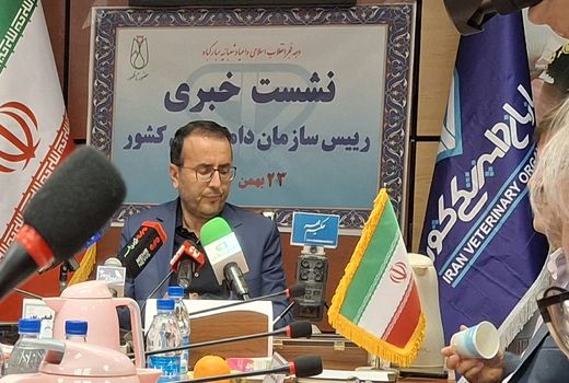 هیچ کانون آنفلوانزای فوق حاد پرندگانی در کشور نداریم/ کاهش چشمگیر کانون‌های بیماری دام و طیور