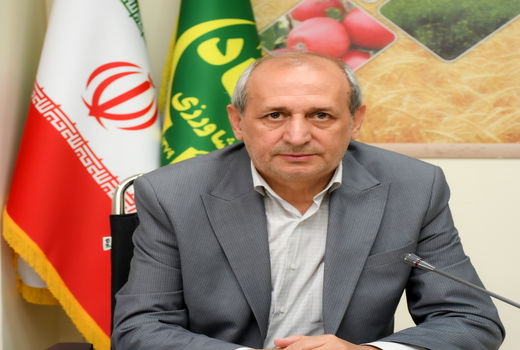 آغاز جهش سبز پسته در آذربایجان شرقی