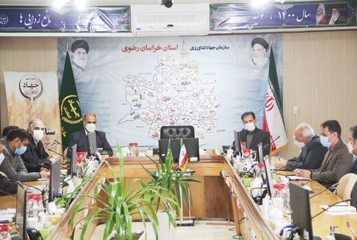 کشت  بیش از 123 هزارهکتار از سهمیه گندم آبی استان خراسان رضوی