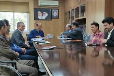 ۴۰ درصد ظرفیت های بخش کشاورزی ایلام فعال است