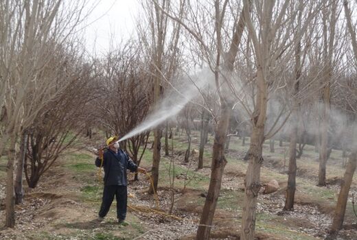 مزایای مبارزه شیمیایی زمستانه در سربیشه