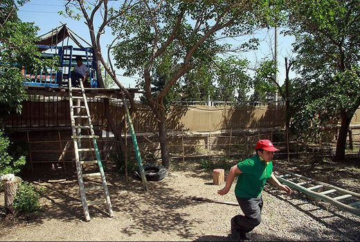 مدارس طبیعت برای نجات بچه‌ها طراحی شد