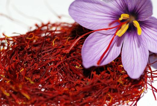 برداشت ۲.۵تن زعفران در یزد