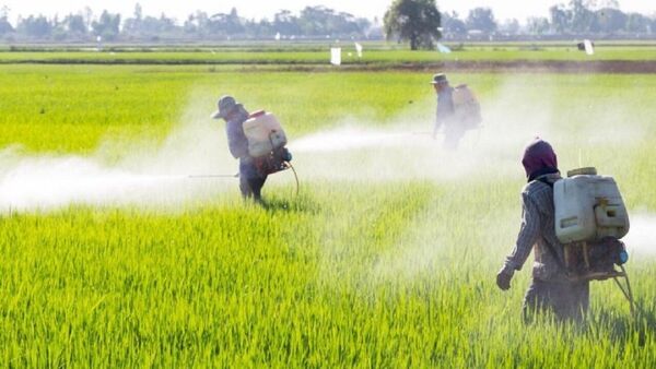 پیش‌آگاهی، کلید کاهش خسارت و افزایش بهره‌وری در کشاورزی است.