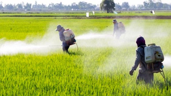 پیشآگاهی، کلید کاهش خسارت و افزایش بهرهوری در کشاورزی است.