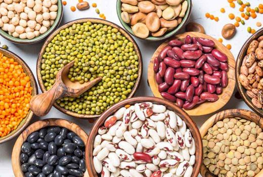 معرفی انواع حبوبات آبی با عملکرد بالا در دستور کار