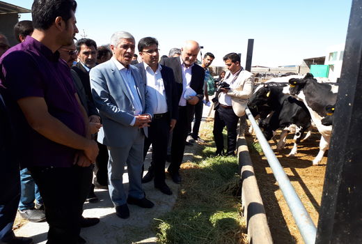 مجتمع پرورش گاوشیری در سمنان به بهره برداری رسید