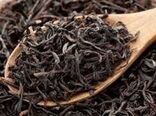 تولید بیش از 25 هزار و 800 تن چای خشک/ ثبت سفارش واردات منوط به خرید چای ایرانی