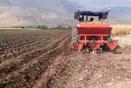 کشت سیب زمینی در 600 هکتار از مزارع بوانات