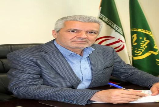 پیش‌بینی تولید بیش از 656 هزار تن گندم در سطح استان همدان