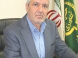 پیش‌بینی تولید بیش از 656 هزار تن گندم در سطح استان همدان