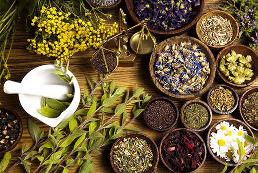 زنجیره ارزش گیاهان دارویی ساماندهی و توسعه می‌یابد/ تاکید بر تشکیل کمیته فنی بذر