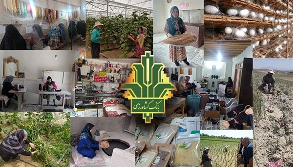 اعتبارطرح بانکداری پیوندی در بانک کشاورزی به 10 هزار میلیارد ریال رسید