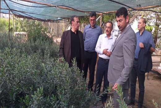 بازدید از ظرفیت‌های تولیدی و کشاورزی استان گلستان