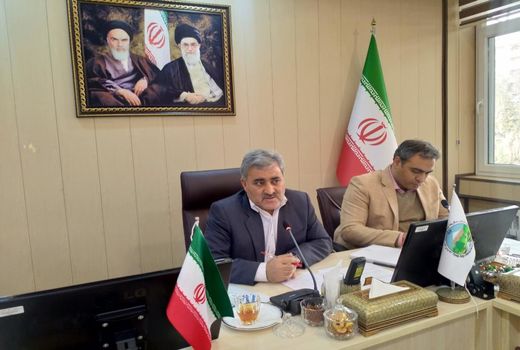 توسعه زراعت چوب برای صیانت از جنگل ها