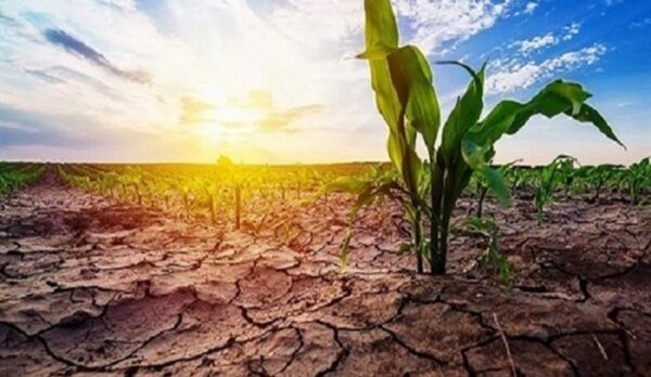 جنوب اروپا برای تابستان خشک ناشی از تغییرات اقلیمی آماده می‌شود
