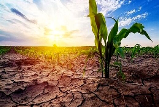 تاکید نخست وزیر مراکش بر تاثیر 