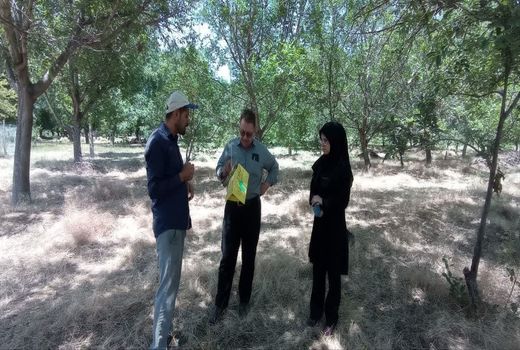 امضای قرارداد با ۹ کلینیک گیاه‌پزشکی برای مدیریت تلفیقی آفات در آذربایجان شرقی 