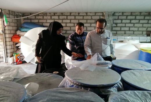 ۵ واحد فرآوری زیتون گنسروی طارم سفلی از لحاظ بهداشت محیط ارزیابی شد