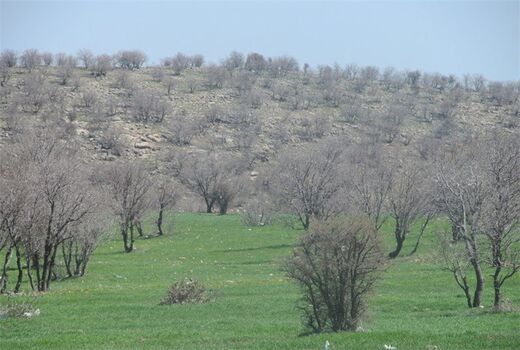 ایران 5 درجه گرم‌تر می‌شود