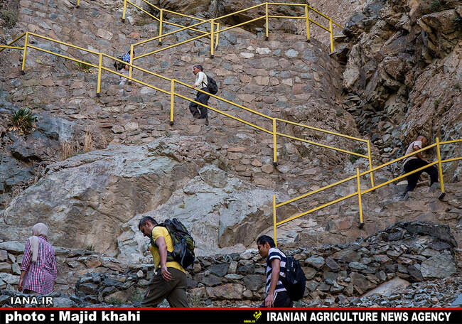 کوه پیمایی