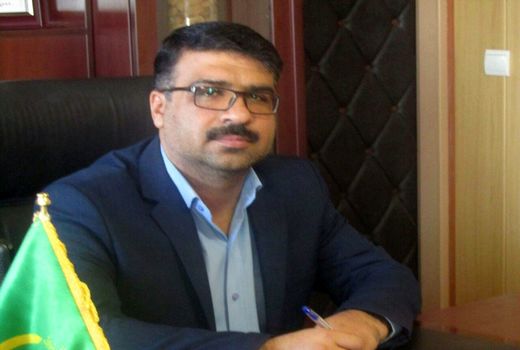 مردم از خرید و مصرف قارچ‌های خودرو خودداری کنند