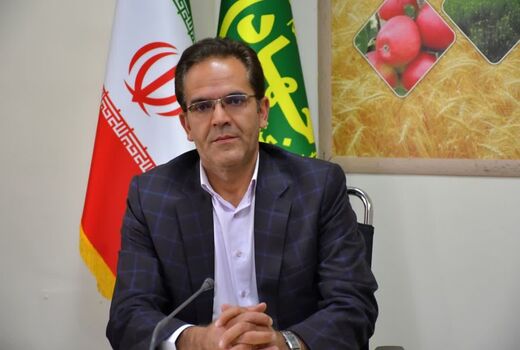 برداشت ۴۰ هزار تن سیب‌زمینی در راستای رعایت الگوی کشت در اراضی پایاب سد سهند هشترود