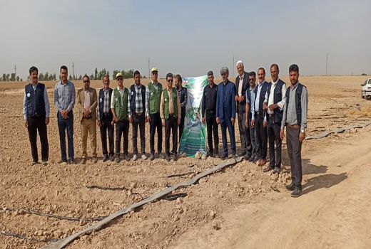 استفاده بهینه از آب در مزارع کشاورزی دزفول