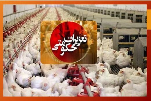  تشکیل تعداد 19 فقره پرونده تعزیراتی در خصوص گران‌فروشی مرغ زنده در شهرستان هشترود