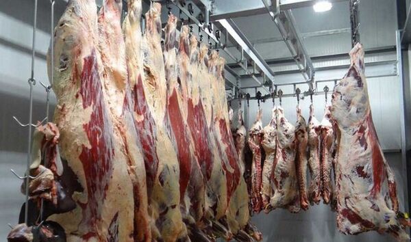 دامپزشکی اصفهان از احتمال شیوع بیماری تب کریمه کنگو هشدار داد