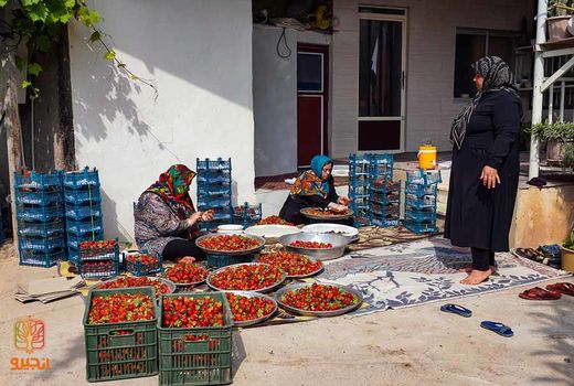 28 میلیارد تسهیلات مشاغل خانگی در بابل پرداخت شد