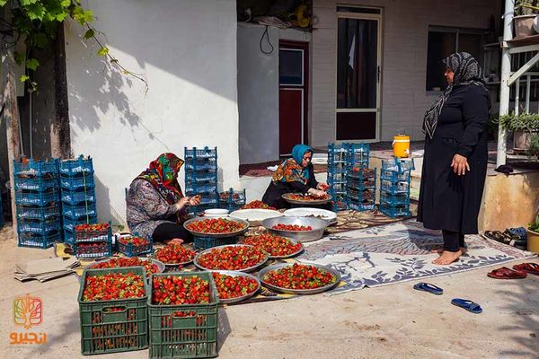 28 میلیارد تسهیلات مشاغل خانگی در بابل پرداخت شد