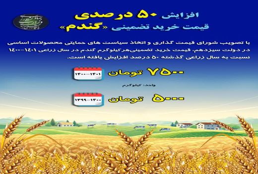 افزایش 50 درصدی قیمت خرید تضمینی گندم در سال زراعی جدید