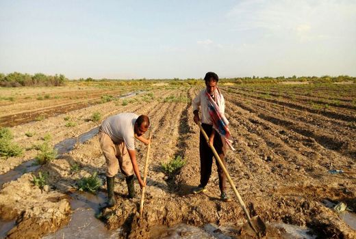 بایدونبایدهای حقوق شهروندان کشاورز